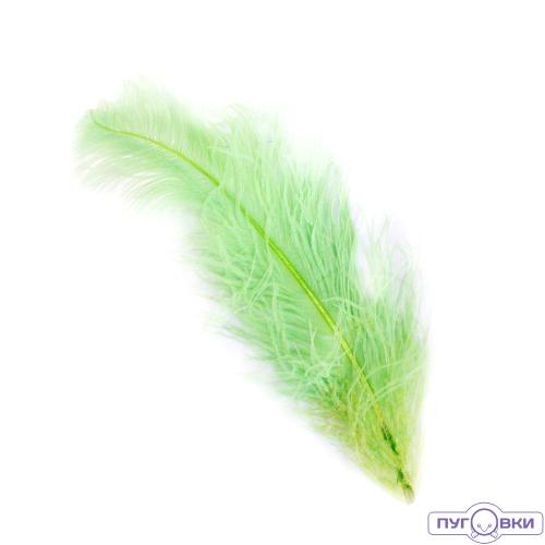 Перо страуса  (МС)